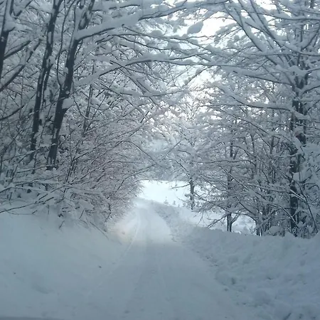 Апартаменты Z Kominkiem I Wanna *