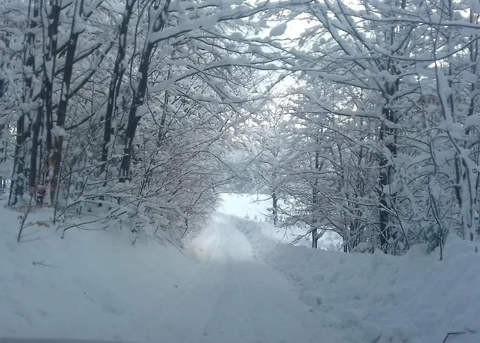 Daire Z Kominkiem I Wanna *