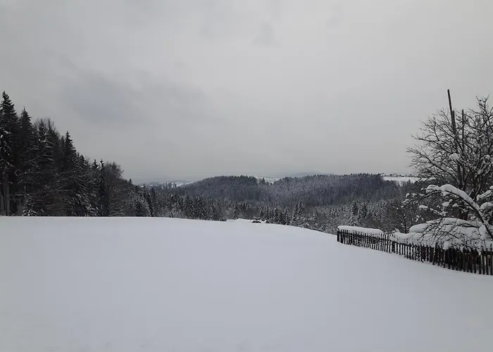 Z Kominkiem I Wanna Daire *